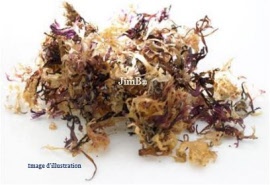 Plante en vrac -  Carragaheen (chondrus crispus) thalle - Herbo-phyto - Herboristerie Bardou™ 