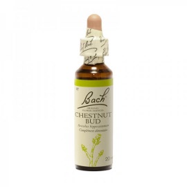 Chesnut bud (aeculus hippocastanum)(marronnier dinde) - flacon 20 ml - Bach original® - Herboristerie Bardou™