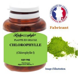 Complément alimentaire - Chlorophylle magnésienne - pot 60 gls - Herbo-phyto® - Herboristerie Bardou™