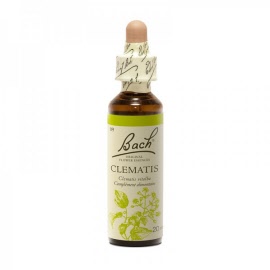 Clematis (clematis vitalba)(clamatite) - flacon 20 ml - Bach original® - Herboristerie Bardou™
