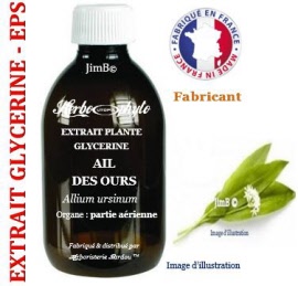 Extrait plante glycérine - EPS - Ail des ours (allium ursinum) partie aérienne - flacon 125 ml - Herbo-phyto - Herboristerie Bardou™ 