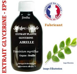Extrait plante glycérine - EPS - Airelle (vaccinium myrtillus) feuille - flacon 250 ml - Herbo-phyto - Herboristerie Bardou™ 