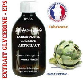 Extrait plante glycérine - EPS - Artichaut (cynara scolymus) feuille - flacon 60 ml - Herbo-phyto - Herboristerie Bardou™ 