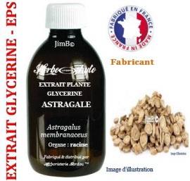 Extrait plante glycérine - EPS - Astragale (astragalus membranaceus) racine - flacon 125 ml - Herbo-phyto - Herboristerie Bardou™