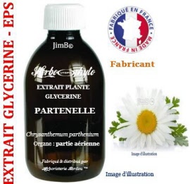 Extrait plante glycérine - EPS - Partenelle (chrysanthemum parthenium) partie aérienne - flacon 1 litre - Herbo-phyto® - Herboristerie Bardou™
