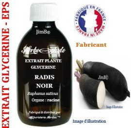 Extrait plante glycérine - EPS - Radis noir (raphanus sativus var. niger) racine - flacon 250 ml - Herbo-phyto® - Herboristerie Bardou™