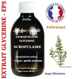 Extrait plante glycérine - EPS - Scrofulaire (scrofularia nodosa) partie aérienne - flacon 125 ml - Herbo-phyto® - Herboristerie Bardou™