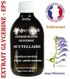 Extrait plante glycérine - EPS - Scutellaire (scutellaria laterifolia) partie aérienne - flacon 60 ml - Herbo-phyto® - Herboristerie Bardou™