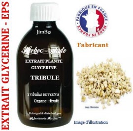 Extrait plante glycérine - EPS - Tribule (tribulus terrestris) fruit - flacon 125 ml - Herbo-phyto® - Herboristerie Bardou™
