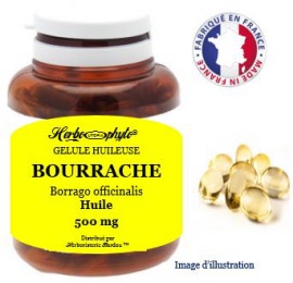 Plante en gélule - Bourrache (borrago officinalis) huile (500 mg) - pot 50 capsules - Herbo-phyto® - Herboristerie Bardou™