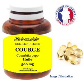 Plante en gélule - Courge (cucurbita pepo) huile pépin (500 mg) - pot 50 cpasules - Herbo-phyto® - Herboristerie Bardou™
