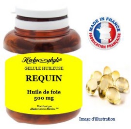 Plante en gélule - Requin (foie) huile (500 mg) - pot 50 capsules - Herbo-phyto® - Herboristerie Bardou™