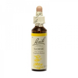 Fleur de bach - Gorse (ulex europaeus)(ajonc) - flacon 20 ml - Bach original® - Herboristerie Bardou™