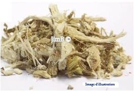 Plante en vrac – Guimauve (althaea officinalis) racine - Herbo-phyto - Herboristerie Bardou™