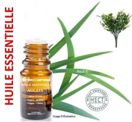 Huile essentielle - Aglaia (aglaia odorata) graine - flacon 50 ml - Herbo-aroma - Herboristerie Bardou™ 