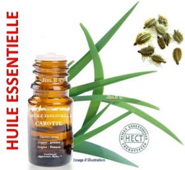 Huile essentielle - Carotte (daucus carota) graine EC-BIO - flacon 100 ml - Herbo-aroma - Herboristerie Bardou™ 