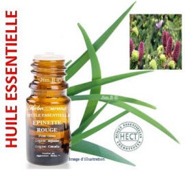 Huile essentielle - Epinette rouge (picea rubens) aiguille SAUV - flacon 5 ml - Herbo-aroma - Herboristerie Bardou™ 