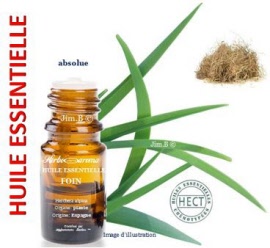 Huile essentielle - Foins (herchera alpina) plante (absolue 75%) - flacon 1 ml - Herbo-aroma - Herboristerie Bardou™ 