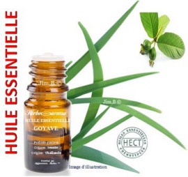 Huile essentielle - Goyave (psidium guajava) feuille SAUV - flacon 15 ml - Herbo-aroma - Herboristerie Bardou™ 