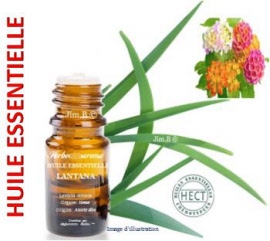 Huile essentielle - Lantana (lantana camara) fleur SAUV - flacon 5 ml - Herbo-aroma - Herboristerie Bardou™ 