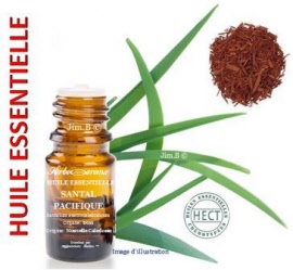Huile essentielle - Santal pacifique (santalum austrocaledonicum) bois - flacon 100 ml - Herbo-aroma - Herboristerie Bardou™ 