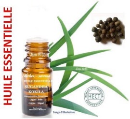 Huile essentielle - Sugandha kokila (cinnamomum glaucescens) plante EC-BIO - flacon 5 ml - Herbo-aroma - Herboristerie Bardou™