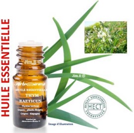 Huile essentielle - Thym baeticus (thymus baeticus) plante fleurie SAUV - flacon 50 ml - Herbo-aroma - Herboristerie Bardou™ 