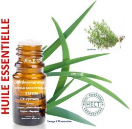 Huile essentielle - Thym (thymus hyemalis ct. p-cymen) plnate fleurie EC-BIO - flacon 50 ml - Herbo-aroma - Herboristerie Bardou™ 