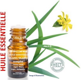 Huile essentielle - Ylang ylang complet (cananga odorata) fleur EC-BIO - flacon 100 ml - Herbo-aroma - Herboristerie Bardou™ 