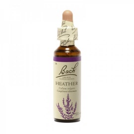 Fleur de bach - Heather (calluna vulgaris)(bruyère) - flacon 20 ml - Bach original® - Herboristerie Bardou™