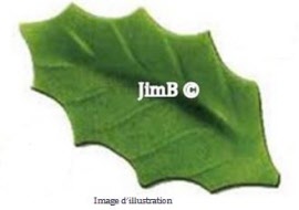 Plante en vrac – Houx (ilex aquifolium) feuille - Herbo-phyto - Herboristerie Bardou™