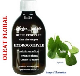 Huile végétale - Hydrocotyle (centella asiatica) pante BIO - flacon 100 ml - Herbo-aroma - Herboristerie Bardou™