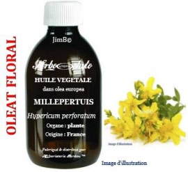 Huile végétale - Millepertuis (hypericum perforatum) plante BIO - flacon 1 litre - Herbo-aroma - Herboristerie Bardou™ 