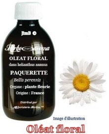 Huile végétale - Paquerette (bellis perennis) fleur BIO - flacon 1 litre - Herbo-aroma ® - Herboristerie Bardou™