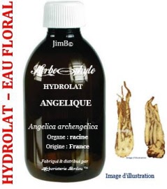 Hydrolat - Angelique (angelica archangelica) racine BIO - flacon 500 ml - Herbo-aroma - Herboristerie Bardou™ 