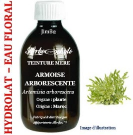 Hydrolat - Armoise arborescente (artemisia arborescens) plante SAUV - flacon 250 ml - Herbo-aroma - Herboristerie Bardou™ 