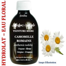 Hydrolat - Camomille romaine (anthemis nobilis) capitule floral BIO - flacon 500 ml - Herbo-aroma - Herboristerie Bardou™ 