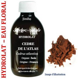 Hydrolat - Cédre de latlas (cedrus atlantica) bois BIO - flacon 125 ml - Herbo-aroma - Herboristerie Bardou™ 