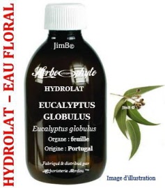 Hydrolat - Eucalyptus (eucalyptus globulus) feuille BIO - flacon 250 ml - Herbo-aroma - Herboristerie Bardou™ 