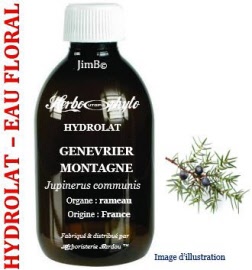 Hydrolat - Genevrier des montagnes (juniperus communis nana) rameau avec baie BIO - flacon 1 litre - Herbo-aroma - Herboristerie Bardou™
