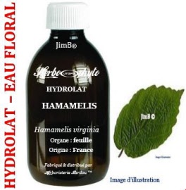 Hydrolat - Hamamelis (hamamelis virginiana) feuille BIO - flacon 125 ml - Herbo-aroma - Herboristerie Bardou™ 