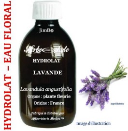 Hydrolat - Lavande (lavanula angustifolia) plante fleurie BIO - flacon 1 litre - Herbo-aroma - Herboristerie Bardou™ 