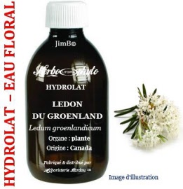 Hydrolat - Ledon (ledum groenlandicum) plante BIO - flacon 1 litre - Herbo-aroma - Herboristerie Bardou™ 