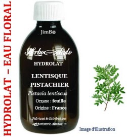 Hydrolat - Lentisque pistachier  (pistacia lenticus L.) feuille BIO - flacon 500 ml - Herbo-aroma - Herboristerie Bardou™ 