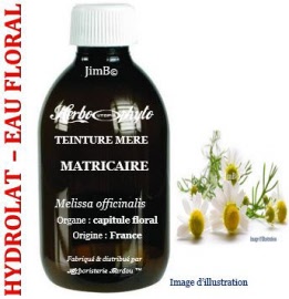 Hydrolat - Mélisse (milissa officinalis) plante fleurie BIO - flacon 125 ml - Herbo-aroma - Herboristerie Bardou™ 