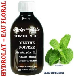 Hydrolat - Menthe poivrée (mentha piperita) plante BIO - flacon 125 ml - Herbo-aroma - Herboristerie Bardou™ 
