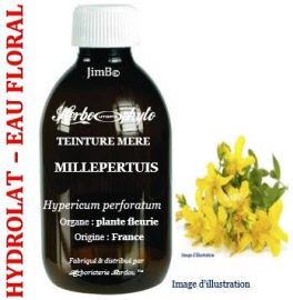 Hydrolat - Millepertuis (hypericum peforatum) plante fleurie BIO - flacon 1 litre - Herbo-aroma - Herboristerie Bardou™ 