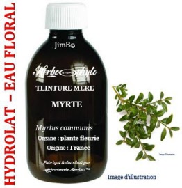 Hydrolat - Myrte (myrtus communis) plante fleurie BIO - flacon 500 ml - Herbo-aroma - Herboristerie Bardou™ 