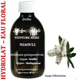 Hydrolat - Niaouli (melaleuca quinquenervia ct. cinéole) feuille ECB - flacon 250  ml - Herbo-aroma - Herboristerie Bardou™ 