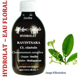 Hydrolat - Ravintsara (cinnamomum camph. ct. cineole) feuille BIO - flacon 1 litre - Herbo-aroma - Herboristerie Bardou™ 